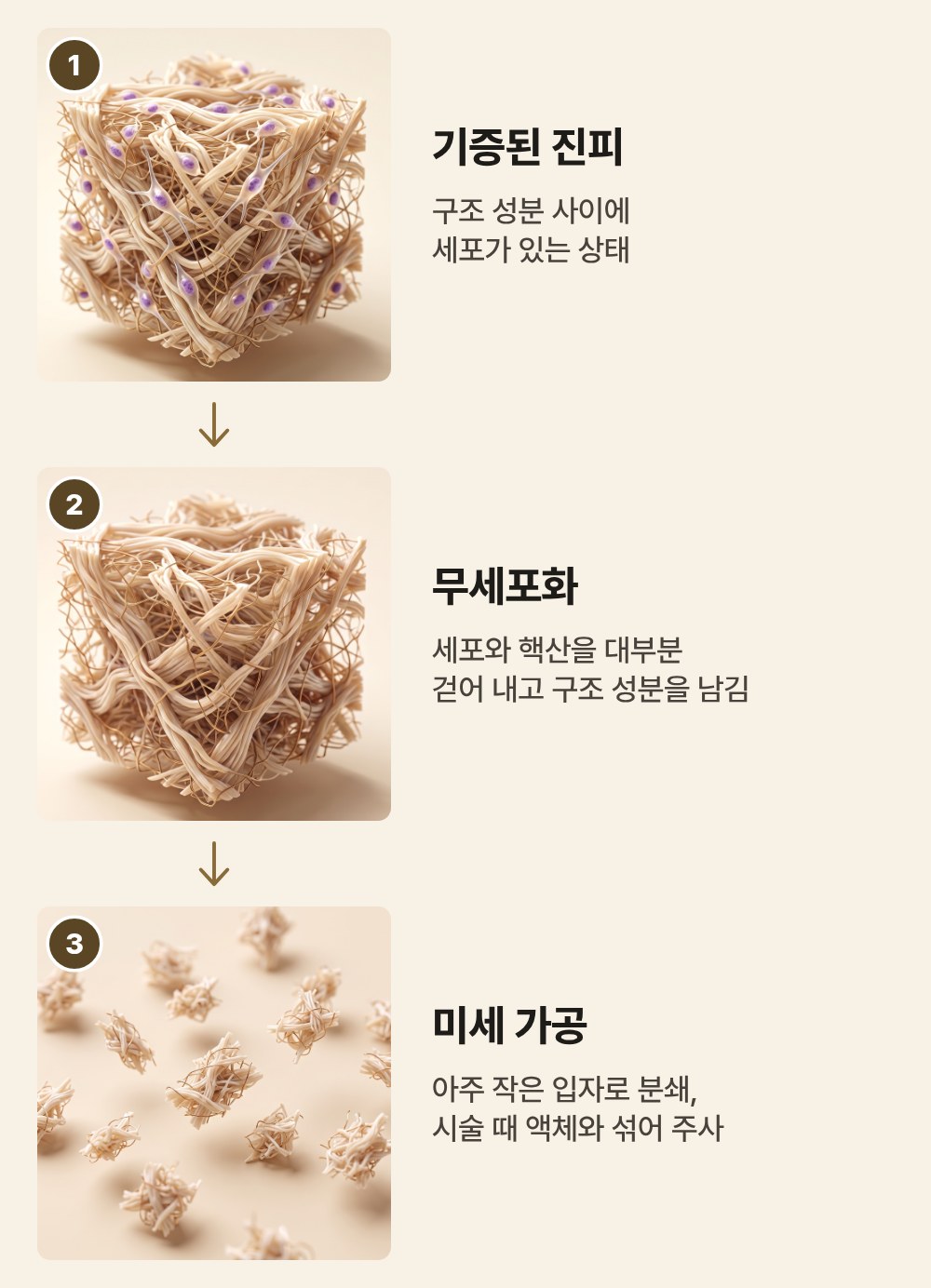 ECM 스킨부스터, 기증된 피부가 주사가 되기까지 무엇을 거치는지 살펴봅니다 사진 8