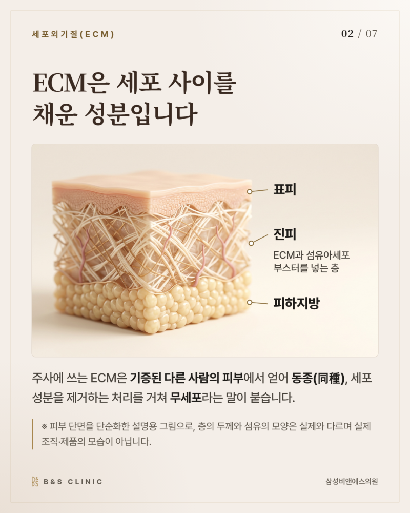 ECM 스킨부스터, 기증된 피부가 주사가 되기까지 무엇을 거치는지 살펴봅니다 사진 2